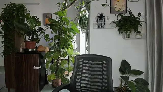 Oliver Nl online show from November 28, 5:10 am