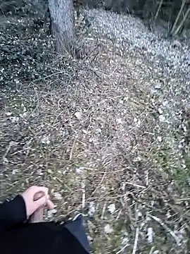 Picknick84 online show from March 21, 5:23 pm