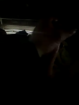 dickemdowncharleybrown online show from December 17, 3:51 pm