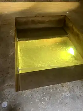  Miguel100 online show from November 9, 7:40 pm