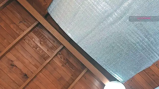 SilvaBranko online show from March 27, 12:04 am