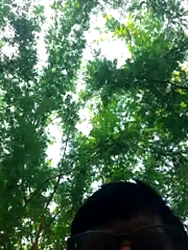 Ajith mvi online show from March 27, 1:54 am