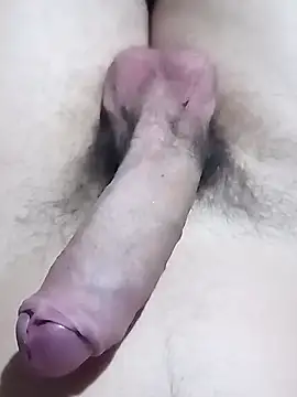 El22 1431 online show from November 13, 2:49 am