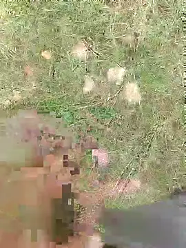 TeluguBoyAbhi online show from October 3, 3:44 am