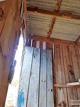 fernandes v online show from January 25, 4:03 pm