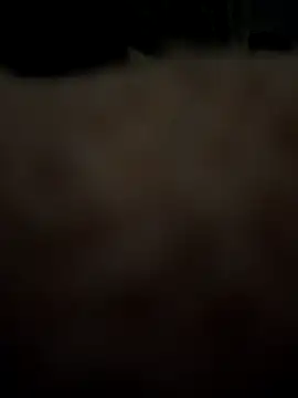 armand0 hub online show from March 18, 8:50 am