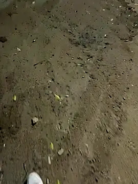 PlayBoy0299 online show from October 25, 7:04 pm