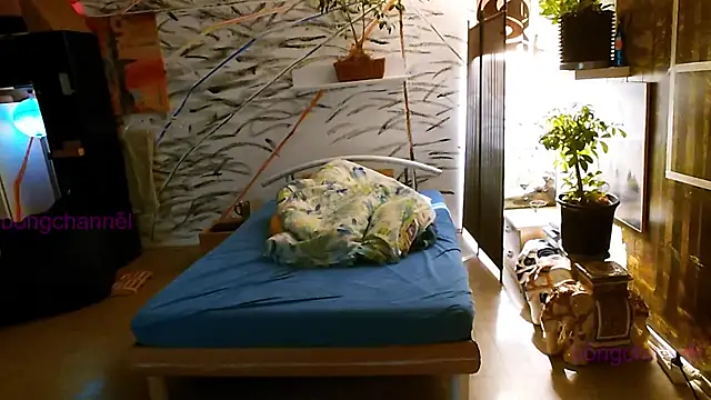 Snapshot of BongChannel chatting on January 2, 11:41 am BongChannel online show from January 2, 11:41 am