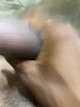 s1437jdjjddjjshbx online show from October 1, 3:49 pm