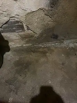 s1437jdjjddjjshbx online show from March 5, 5:29 am