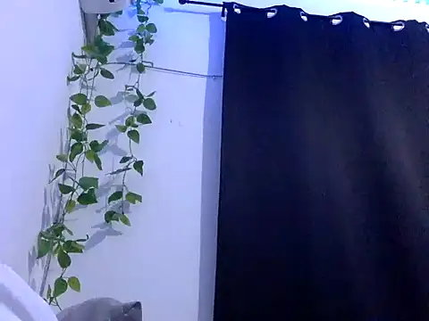 mora cyb online show from November 5, 7:21 am