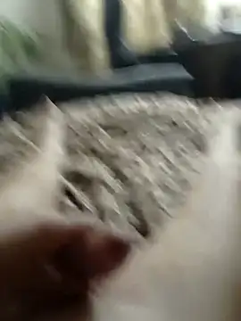 MityaXLoves online show from March 13, 7:06 pm