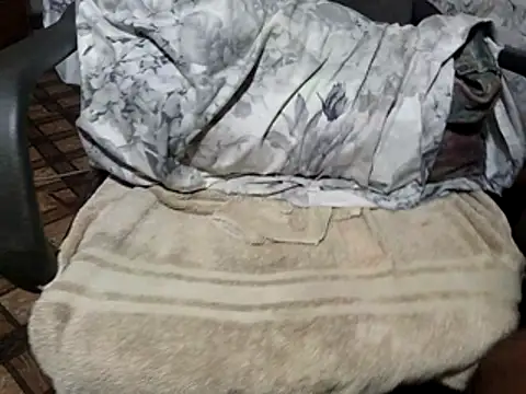 BBC JoyBoi online show from March 20, 12:53 pm