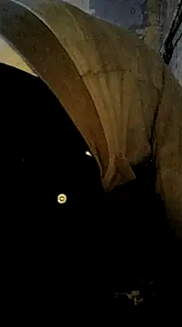 ListedLoin online show from December 27, 5:26 pm