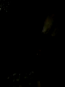 Snapshot of Tamil_boy_age28 chatting on February 15, 5:17 pm Tamil boy age28 online show from February 15, 5:17 pm