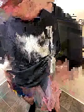 Chuckie 999 online show from December 17, 9:21 pm