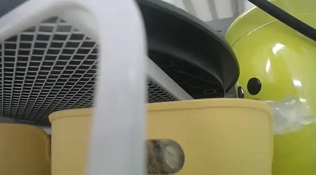 Snapshot of Lovensetest chatting on December 19, 10:24 am Lovensetest online show from December 19, 10:24 am