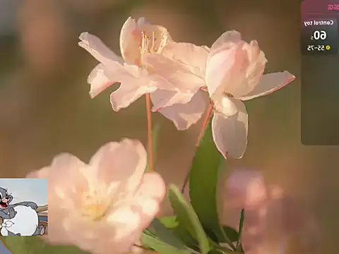 Snapshot of Lovensetest chatting on October 22, 7:23 am Lovensetest online show from October 22, 7:23 am