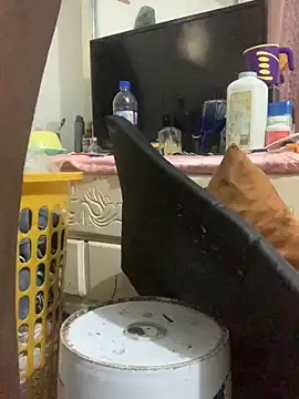 funpharoh1 online show from November 21, 5:50 am