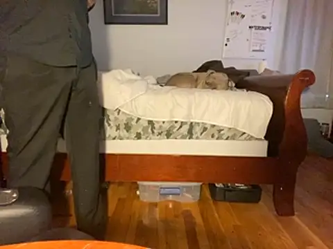 flexingplexico online show from January 14, 1:05 pm