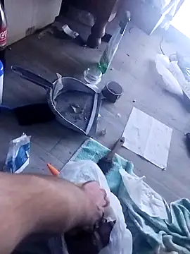 mazwo online show from December 17, 1:35 am