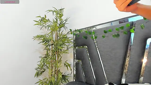 Black Rose2 online show from February 10, 11:57 am