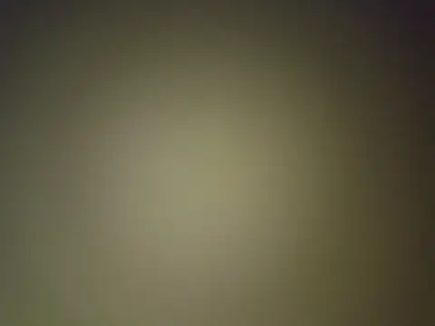 BigRastaFire online show from January 26, 1:09 am