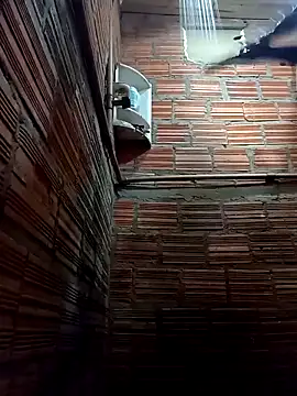 RS1995Poa1 online show from February 22, 2:06 am