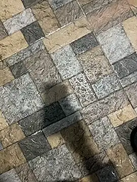 zeck80 online show from November 14, 3:35 pm