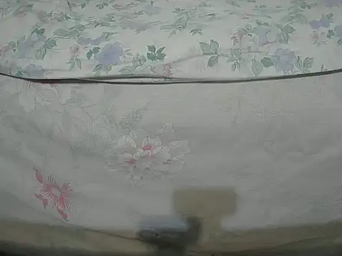 Tiger202441 online show from December 16, 10:24 pm