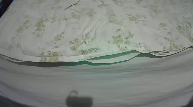 Tiger202441 online show from March 4, 9:32 pm