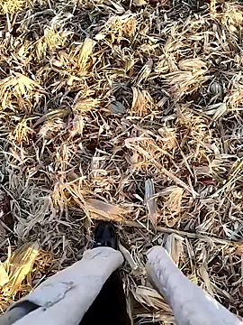 Snapshot of murokkk31 chatting on September 22, 4:01 am murokkk31 online show from September 22, 4:01 am