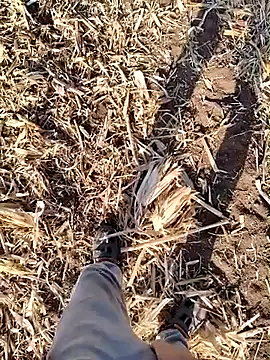 Snapshot of murokkk31 chatting on September 18, 4:58 am murokkk31 online show from September 18, 4:58 am