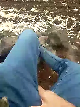 Snapshot of murokkk31 chatting on December 16, 8:31 am murokkk31 online show from December 16, 8:31 am