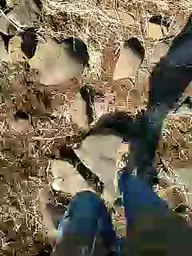 Snapshot of murokkk31 chatting on January 25, 9:15 am murokkk31 online show from January 25, 9:15 am