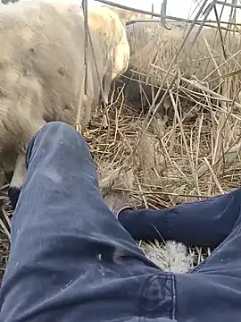 Snapshot of murokkk31 chatting on October 29, 9:34 am murokkk31 online show from October 29, 9:34 am