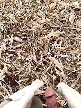 Snapshot of murokkk31 chatting on September 15, 2:58 am murokkk31 online show from September 15, 2:58 am