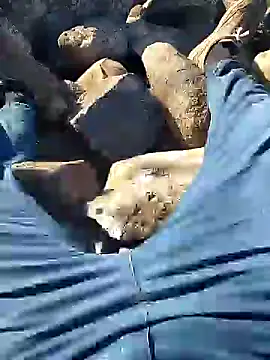 Snapshot of murokkk31 chatting on January 10, 7:35 am murokkk31 online show from January 10, 7:35 am