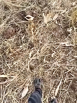 Snapshot of murokkk31 chatting on September 19, 5:08 am murokkk31 online show from September 19, 5:08 am