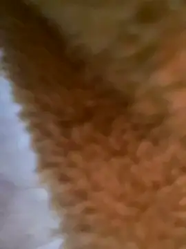 red red00 online show from November 2, 1:37 pm