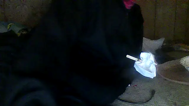 luke thighwalker2469 online show from November 15, 7:10 am