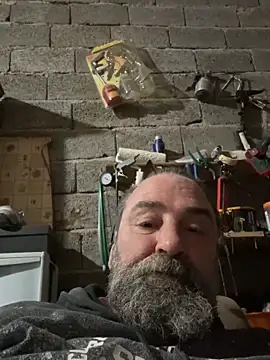 ros217 online show from November 29, 5:37 pm