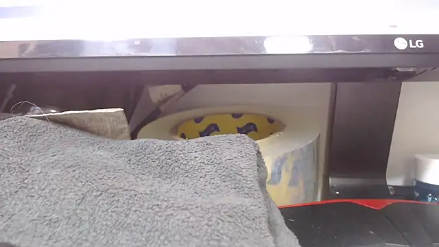 justinbiler online show from September 15, 7:48 pm