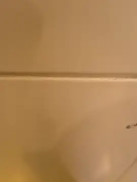 joeyriddle online show from April 27, 11:07 am