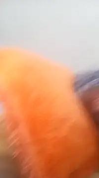 NICJOHNS online show from February 2, 8:02 am