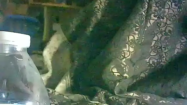 DI4MOND FIR3 online show from March 17, 5:54 am