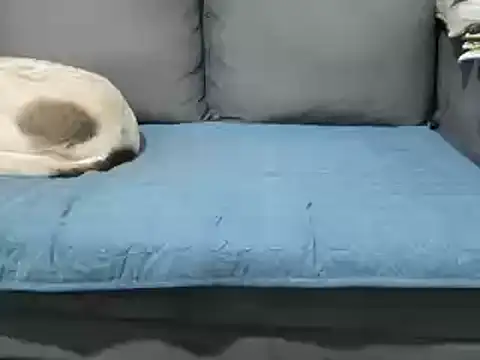 4small4inchlol online show from February 20, 12:15 pm