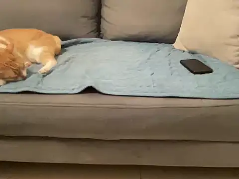 4small4inchlol online show from November 14, 3:57 pm