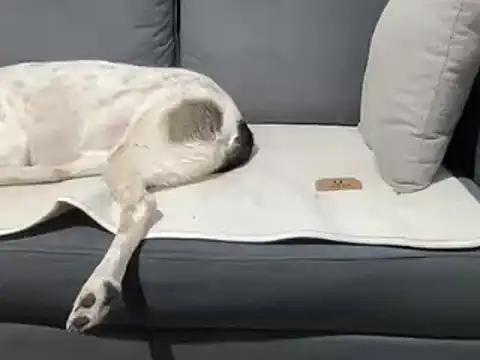 4small4inchlol online show from March 20, 7:35 pm