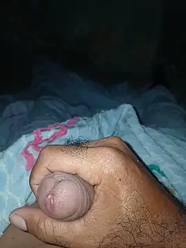 taylorWiiz online show from November 28, 10:50 am